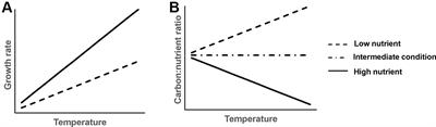 Interactive Effects of Rising Temperature and Nutrient Enrichment on Aquatic Plant Growth, Stoichiometry, and Palatability
